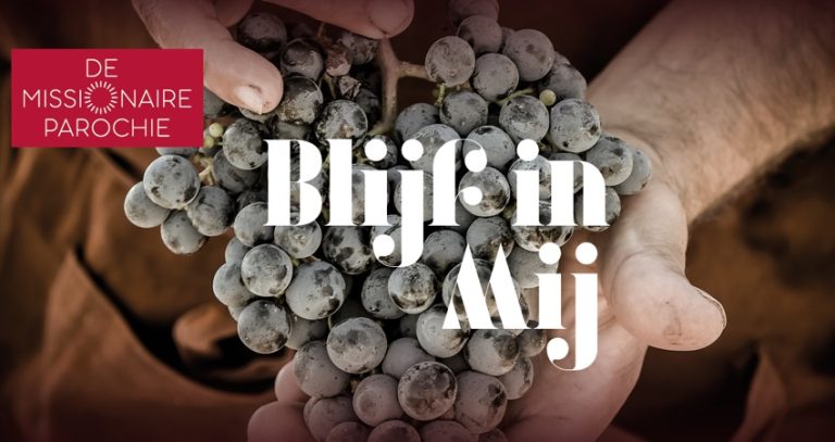 conferentie-missionaire-parochie-2025-op-8-februari-heeft-thema:-‘blijf-in-mij’