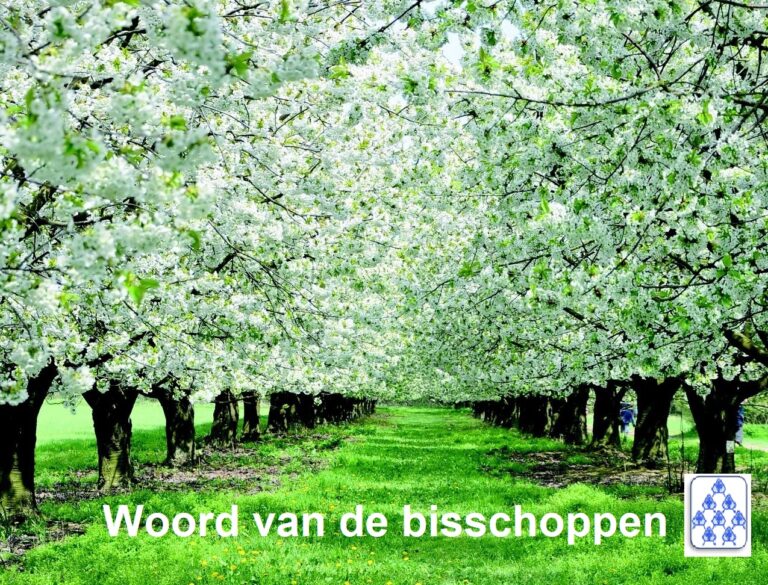 woord-van-de-bisschoppen:-‘een-toekomst-van-waardigheid-en-vrede-voor-alle-mensen’