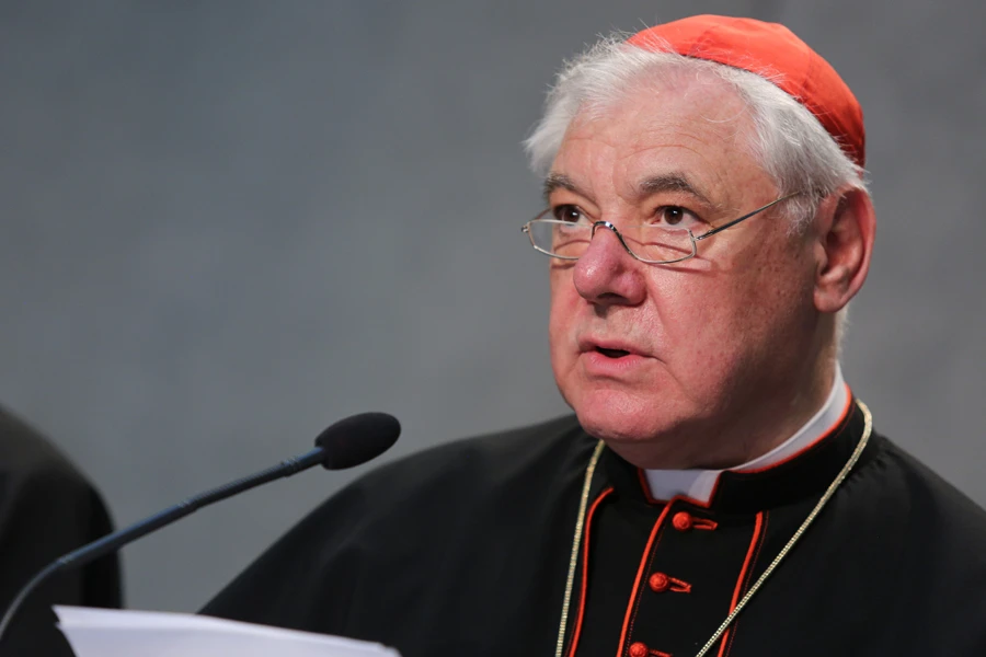 kardinaal-muller-prijst-paus-leo-xiv’s-‘christusgerichte-verkondiging-van-het-evangelie