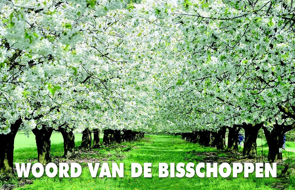 woord-van-de-bisschoppen-voor-de-vredesweek