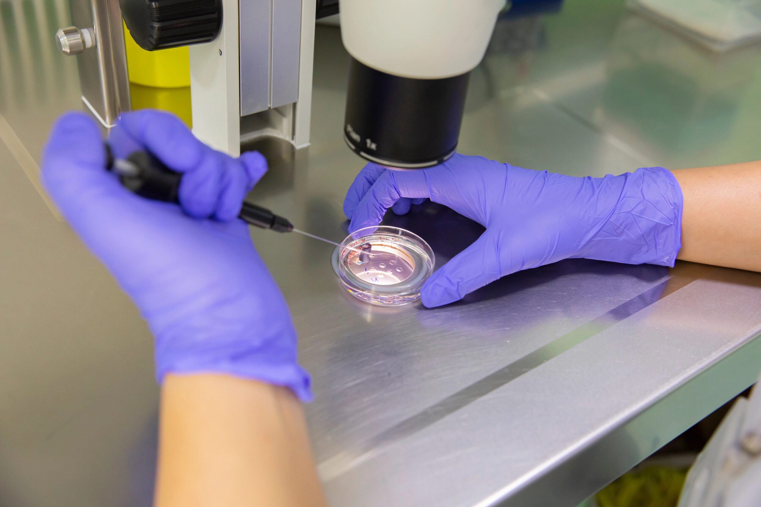 trump-administration-expands-ivf-and-other-fertility-treatment-coverage