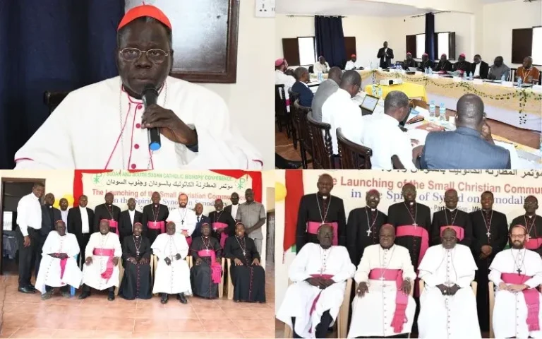 cardinal-sounds-alarm-on-‘unprecedented’-crisis-in-sudan,-south-sudan