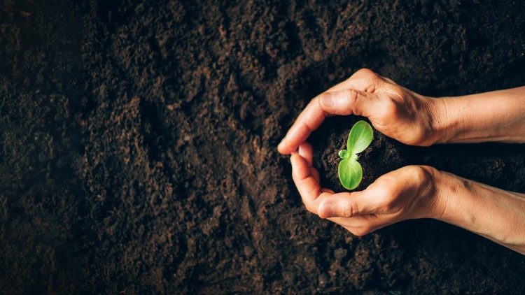 an-economy-of-enough:-limits-as-pathways-to-renewal