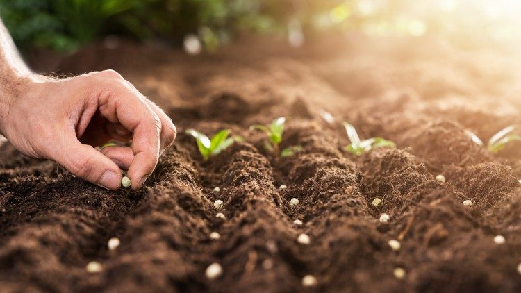 de-economie-herstarten:-(nog-steeds)-tijd-om-te-rusten-–-het-jubeljaar-als-de-‘sabbat’-van-de-wereld