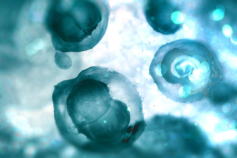 4-op-de-5-amerikanen-hebben-zorgen-over-embryonale-screening,-blijkt-uit-onderzoek