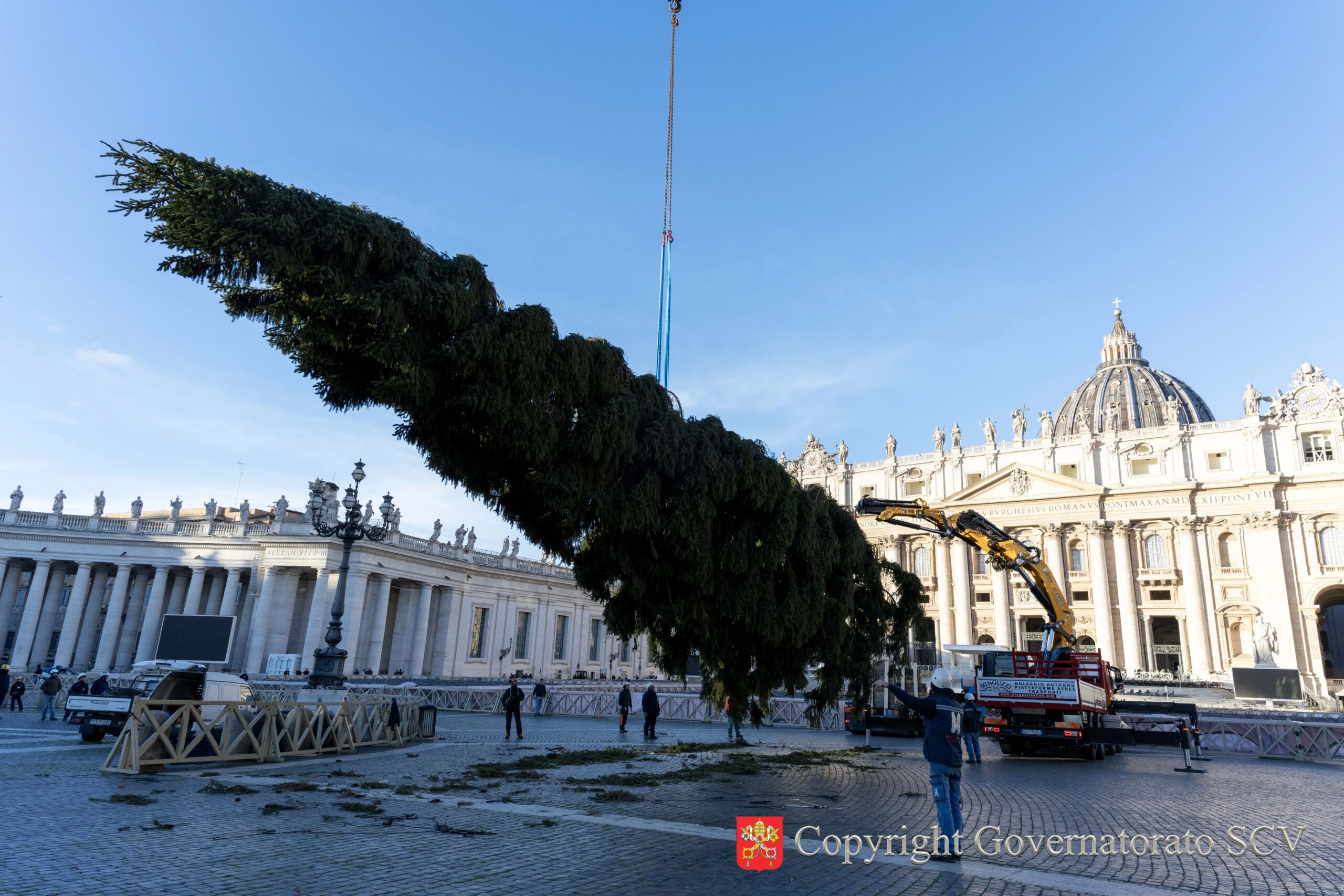 vatican's-2025-christmas-tree-installed-in-st.-peter's-square