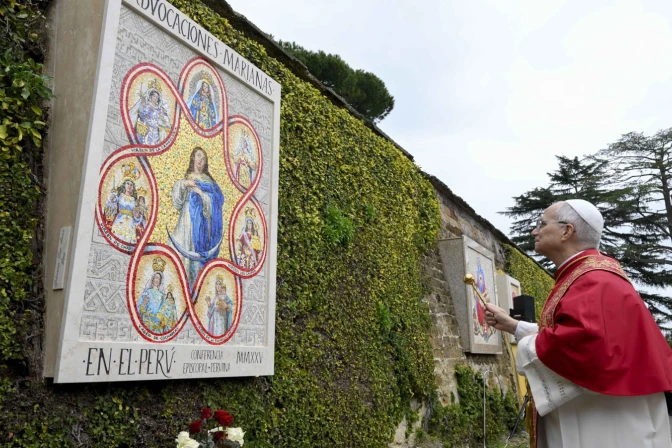 pope-leo-xiv-approves-new-statutes-of-pontifical-international-marian-academy