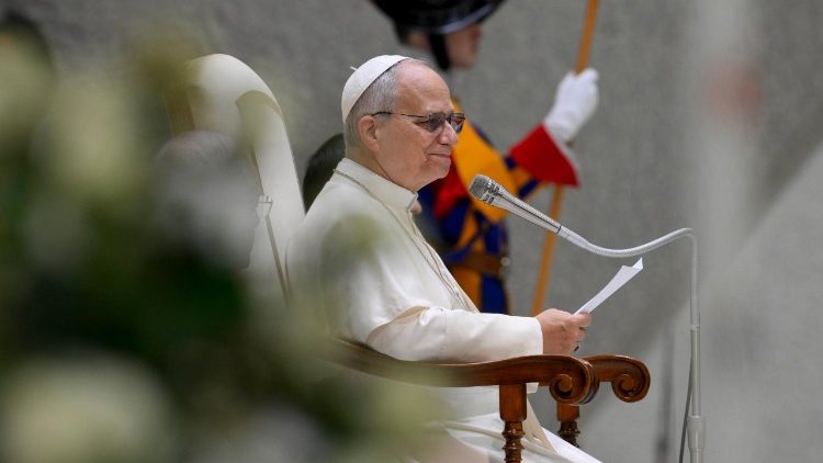 paus-bij-audientie:-het-woord-van-god-beantwoordt-aan-onze-dorst-naar-betekenis-en-waarheid