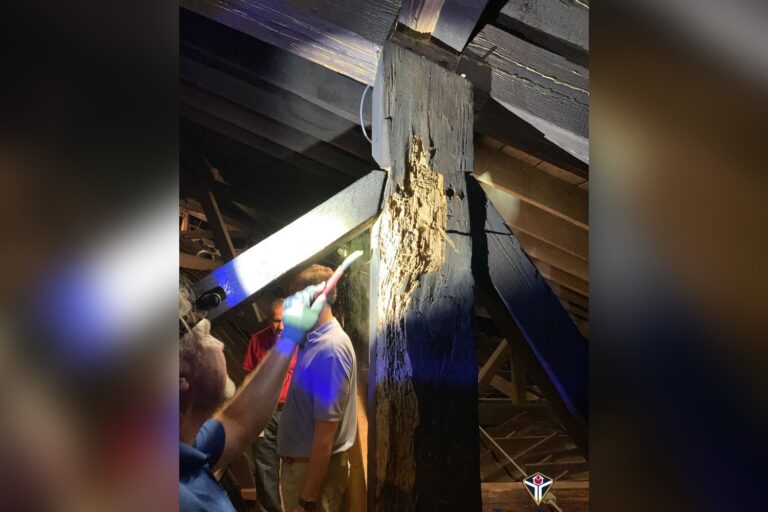 archdiocese-of-mobile-awarded-$25-million-over-termite-damage-at-cathedral