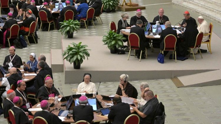 synode-publiceert-rapporten-over-armoede-en-het-milieu,-en-over-polygamie