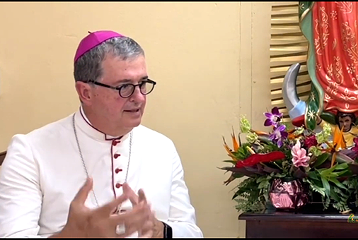 mgr.-de-wit-guzman-tot-nieuwe-apostolisch-nuntius-benoemd-voor-nederland