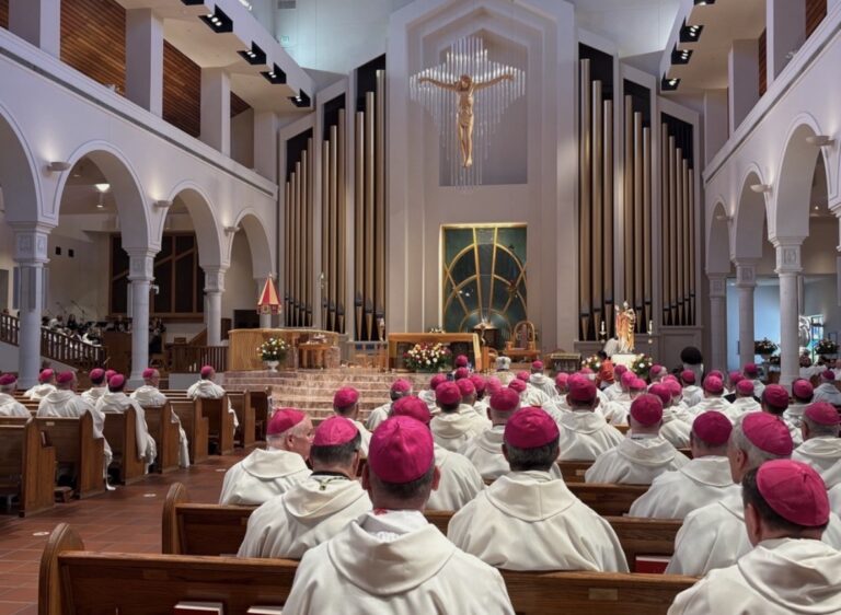 us.-bishops-consecrate-nation-to-sacred-heart-of-jesus