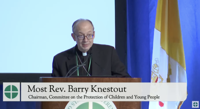 us.-bishops-approve-revised-version-of-charter-for-the-protection-of-children-and-young-people