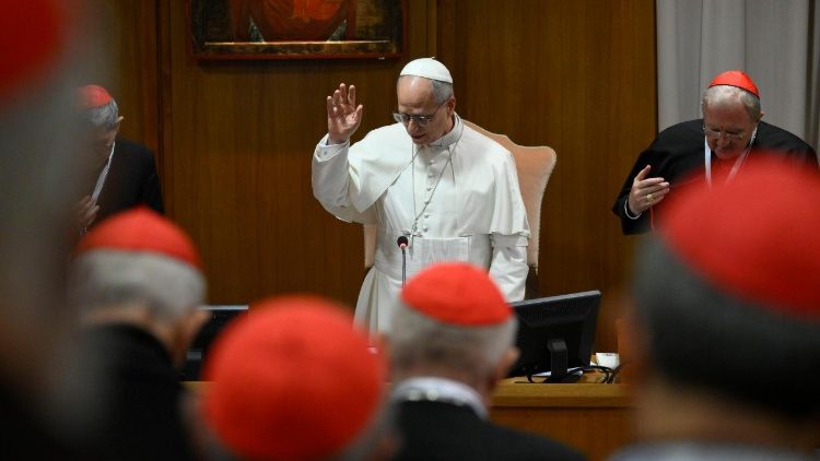 vaticaan-publiceert-schema-voor-de-consistorie-van-de-paus-met-kardinalen
