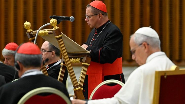 cardinaal-rys:-de-goede-samaritaan-biedt-de-kerk-een-model-voor-de-wereld-van-vandaag