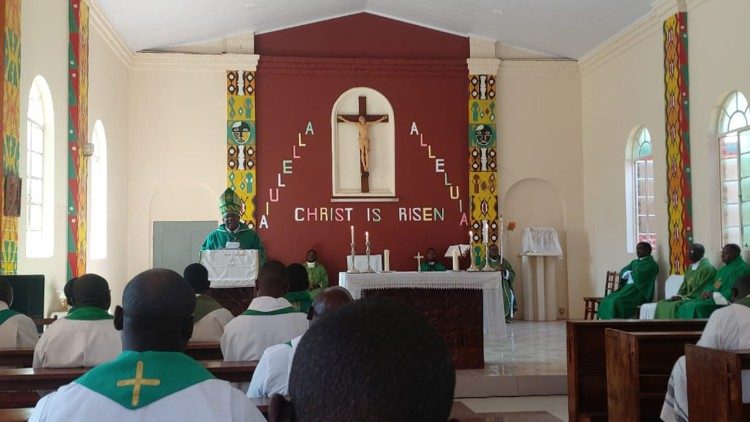 zambia:-bishop-msipu-urges-priests-to-find-strength-in-god-amidst-priestly-challenges