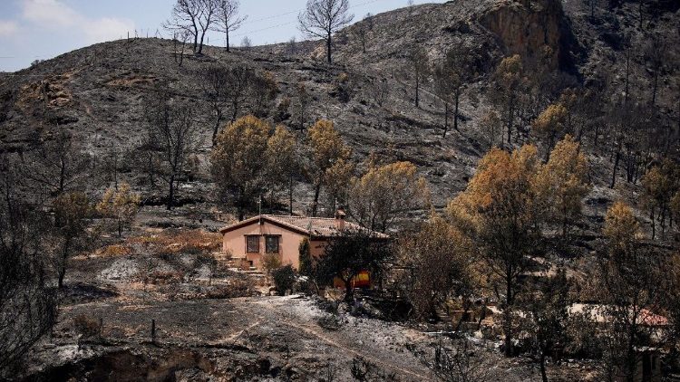 bisschop-van-almeria:-laat-ons-god’s-handen-zijn-voor-degenen-die-lijden