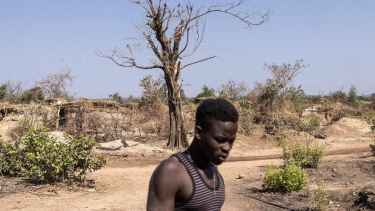 de-strijd-van-liberia-tegen-illegale-mijnbouw