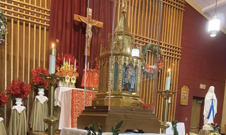 de-relieken-van-st.-bernadette-zullen-door-de-verenigde-staten-toeren