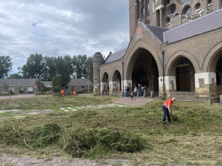 dank-aan-de-gemeente-haarlem,-het-onkruid-is-weg