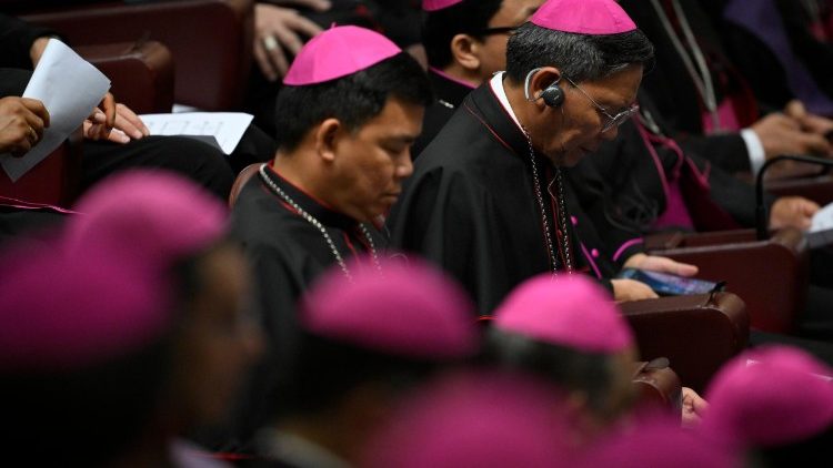 synod:-reports-published-on-relations-between-bishops,-consecrated-life,-and-ad-limina-visits