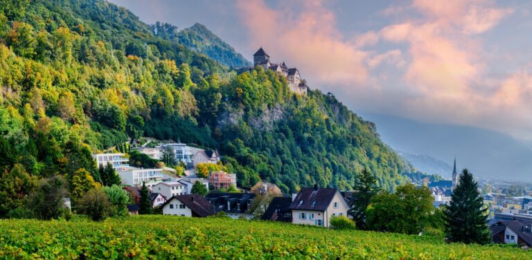 parlement-van-liechtenstein-steunt-abortusinitiatief,-maar-prins-heeft-het-laatste-woord