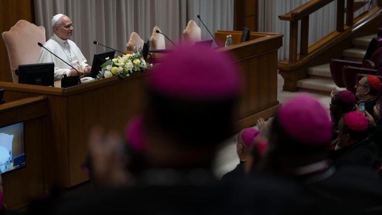 pope-leo:-bishops-should-offer-clear-teaching
