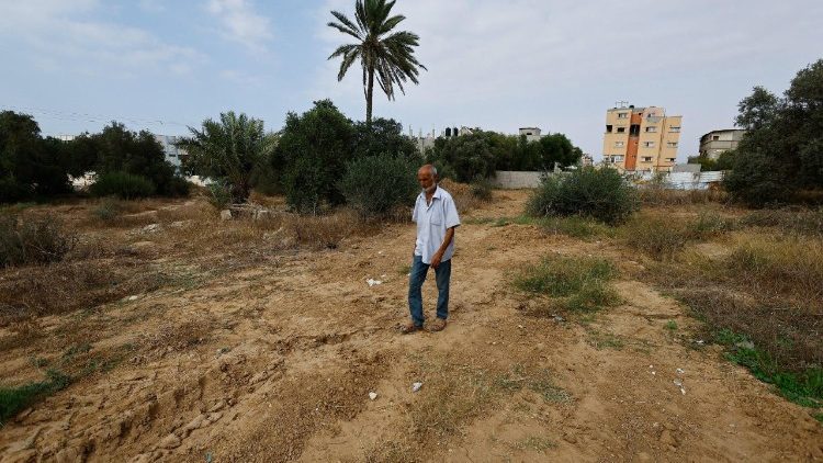 vn-benadrukt-risico’s-van-landbouw-in-gaza