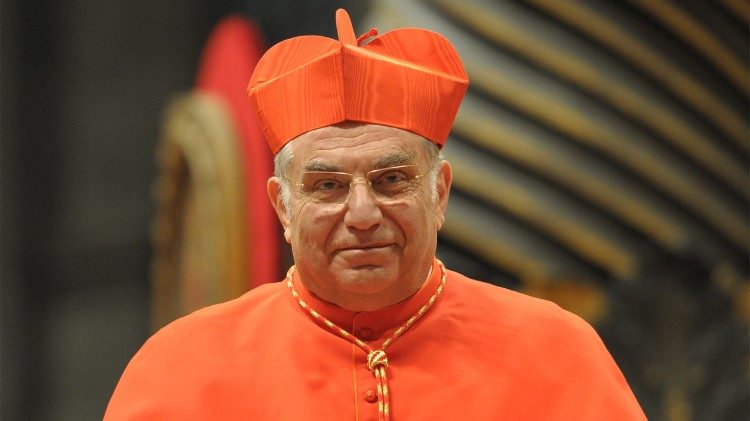 paus-leo-herinnert-zich-de-genereuze-dienst-van-de-overleden-kardinaal-romeo-aan-het-evangelie